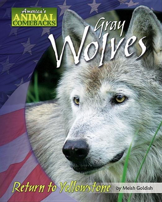 Gray Wolves: Return to Yellowstone