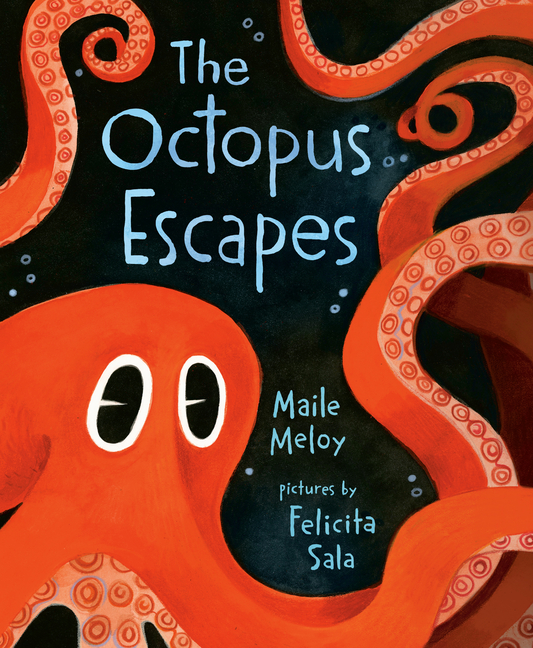 The Octopus Escapes