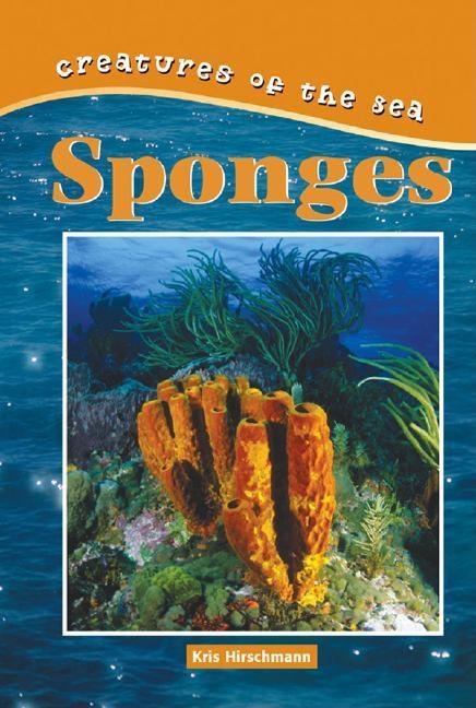 Sponges