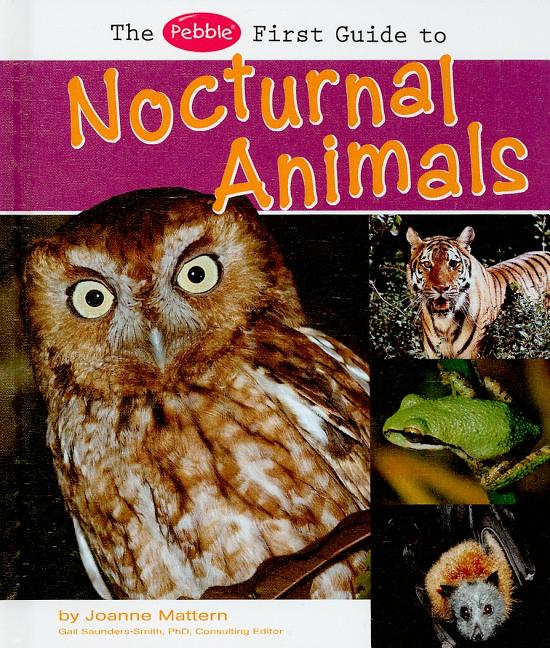 Nocturnal Animals