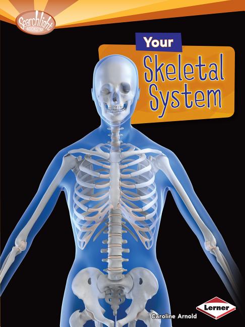 Your Skeletal System