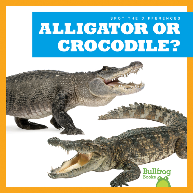 Alligator or Crocodile?