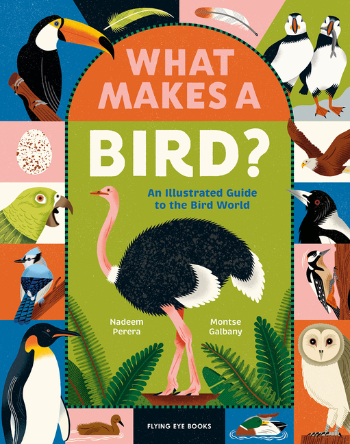 What Makes a Bird?