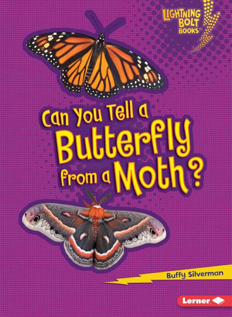 Can You Tell a Butterfly from a Moth?