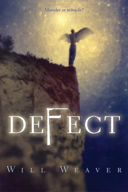 Defect