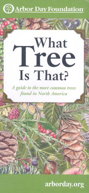 What Tree Is That?: A Guide to the More Common Trees Found in North America