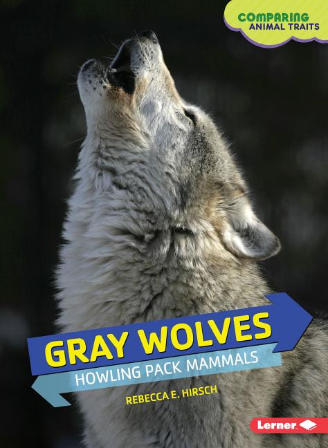 Gray Wolves: Howling Pack Mammals