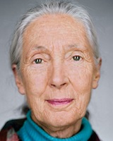 Photo of Jane Goodall