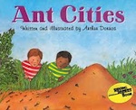 Ant Cities
