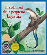 La cola azul de la pequena lagartija