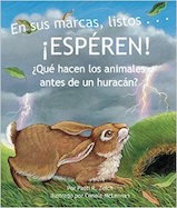 En sus marcas, listos... ¡ESPÉREN!: ¿Qué hacen los animales antes de un huracán?