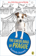 The Circus Dogs of Prague