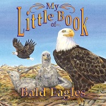 My Little Book of Bald Eagles