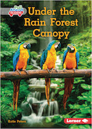 Under the Rain Forest Canopy