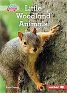 Little Woodland Animals