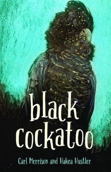 Black Cockatoo